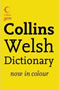 Welsh Dictionary