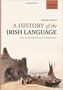 A History of the Irish Language: From the Norman Invasion to Independence