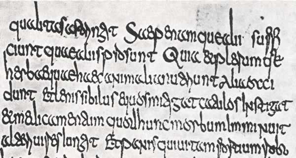 Sample text in Merovingian script