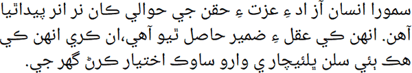 سمورا انسان آزاد ءِ عزت ءِ حقن ڄي حوالي ڪان نرانر پيداٿيا آهن. انهن ڪي عقل ءِ ضمير حاصل ٿيو آهي، ڪري انهن ڪي هڪ ٻئي سلن ڀلئيچار ي وارو ساوڪ اختيار ڪرڻ گهر جي.