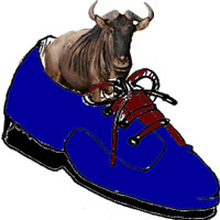 A Gnu in My Shoe