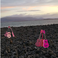 Ukuleles On The Shore