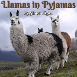 Llamas in Pyjamas