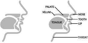 Featural Lojban Abjad