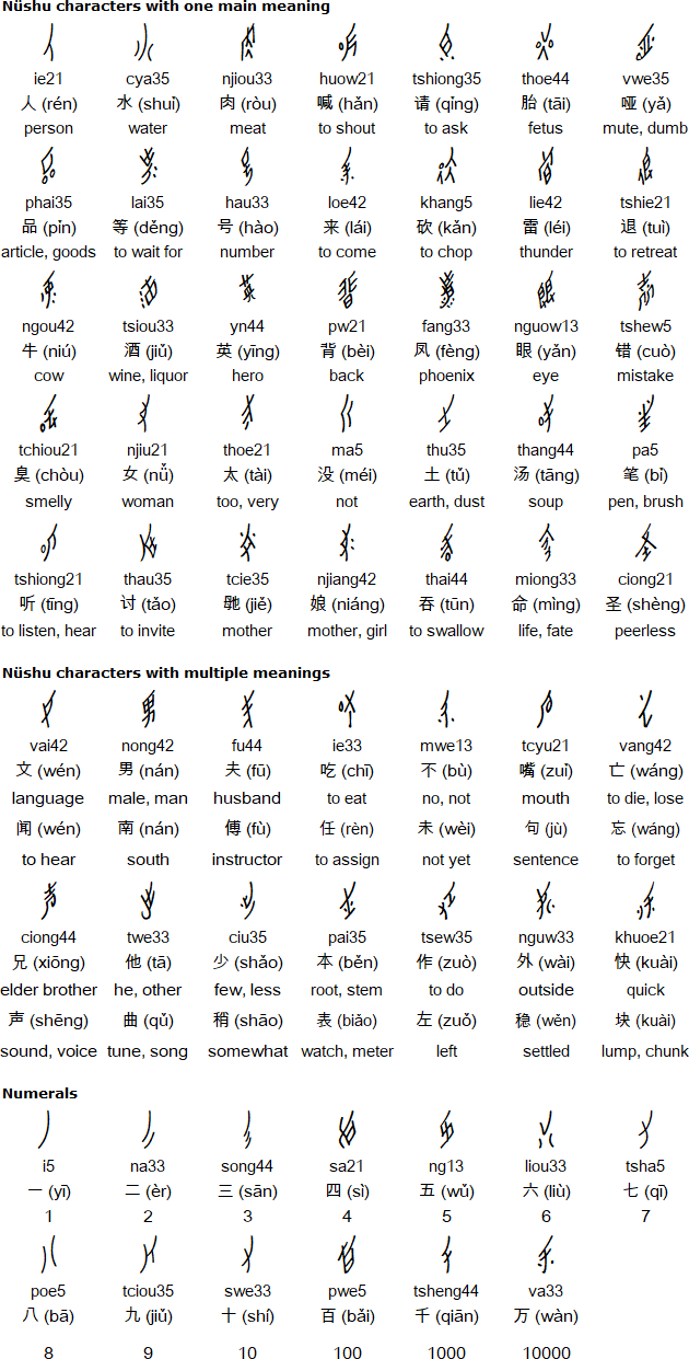 A selection of Nüshu characters and their Chinese equivalenta